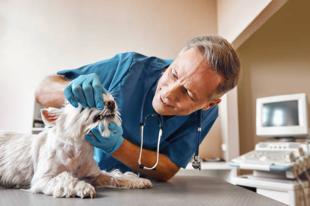 Best Emergency Root Canal Therapy in Homestead, PA